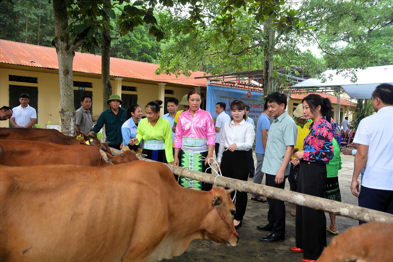 Người dân xã Đông Thọ, tỉnh Tuyên Quang được hỗ trợ bò sinh sản, nâng cao thu nhập. Người dân xã Đông Thọ, tỉnh Tuyên Quang được hỗ trợ bò sinh sản, nâng cao thu nhập.