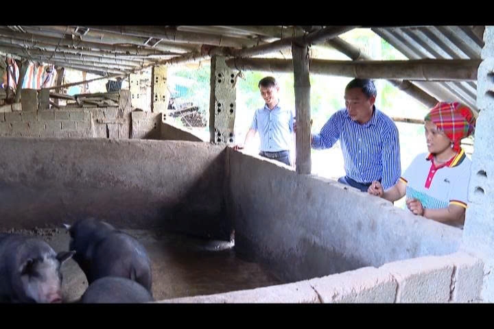 Cán bộ xã Trạm Tấu hướng dẫn người dân phát triển chăn nuôi lợn đen, góp phần giúp các hộ thoát nghèo bền vững. Cán bộ xã Trạm Tấu hướng dẫn người dân phát triển chăn nuôi lợn đen, góp phần giúp các hộ thoát nghèo bền vững.