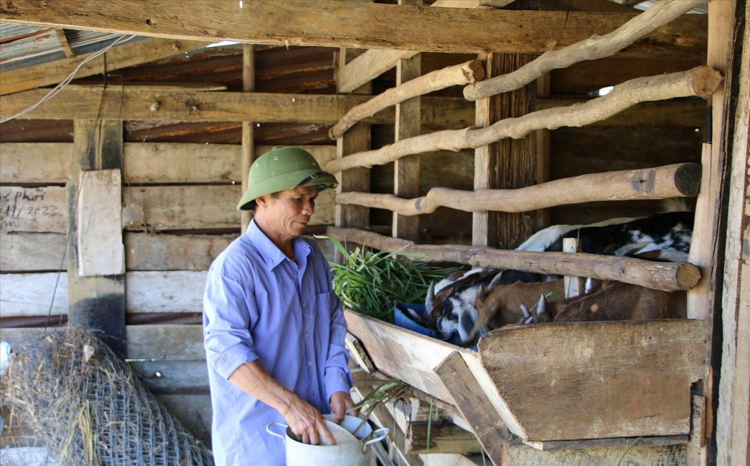 Mô hình chăn nuôi đã giúp nhiều dân Lâm Đồng thoát nghèo