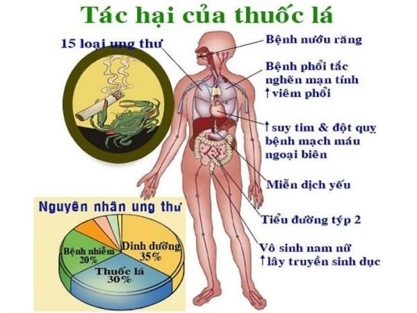 Tác hại của thuốc lá ảnh hưởng đến sức khỏe con người