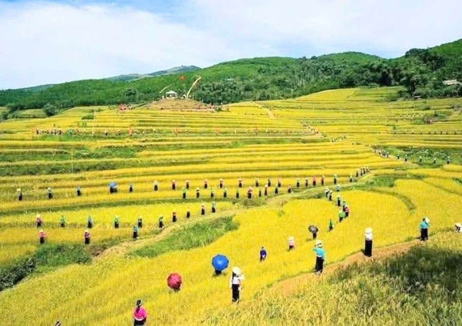 Ruộng bậc thang Miền Đồi từ lâu được biết đến là một trong những danh thắng đẹp nhất của Phú Thọ. (Ảnh: TP) Ruộng bậc thang Miền Đồi từ lâu được biết đến là một trong những danh thắng đẹp nhất của Phú Thọ. (Ảnh: TP)