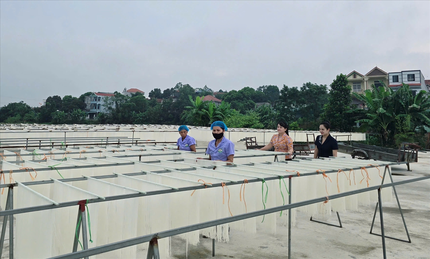 Hợp tác xã Mì gạo Hùng Lô đã tạo dựng được thương hiệu vững chắc cho sản phẩm truyền thống địa phương Hợp tác xã Mì gạo Hùng Lô đã tạo dựng được thương hiệu vững chắc cho sản phẩm truyền thống địa phương