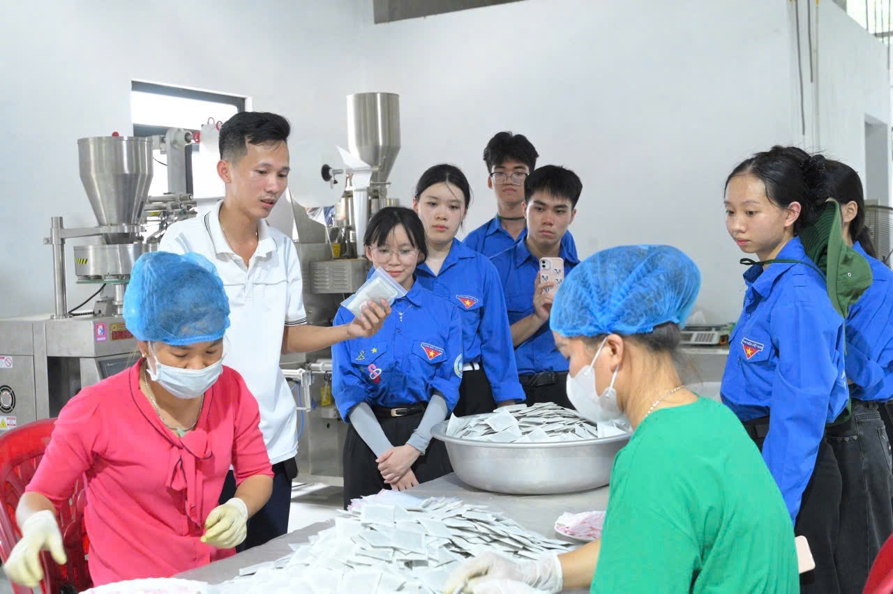Nguyễn Quốc Hoàng (áo phông trắng) giới thiệu quy trình sản xuất trà dược liệu cho đoàn thanh niên địa phương tham quan, học tập.