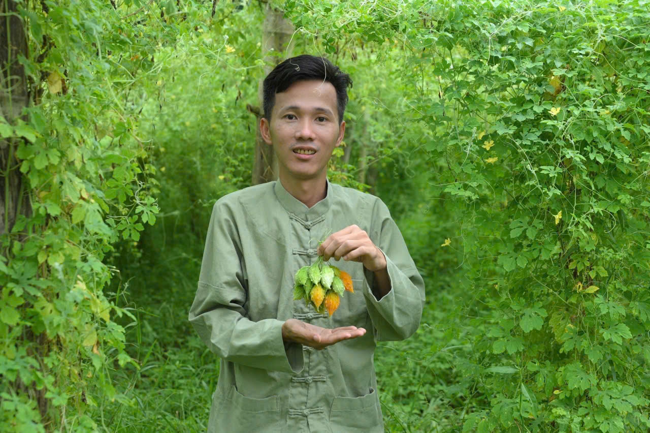 Nguyễn Quốc Hoàng trong vườn mướp đắng rừng – loại cây dược liệu đã giúp anh khởi nghiệp thành công ngay trên quê hương.