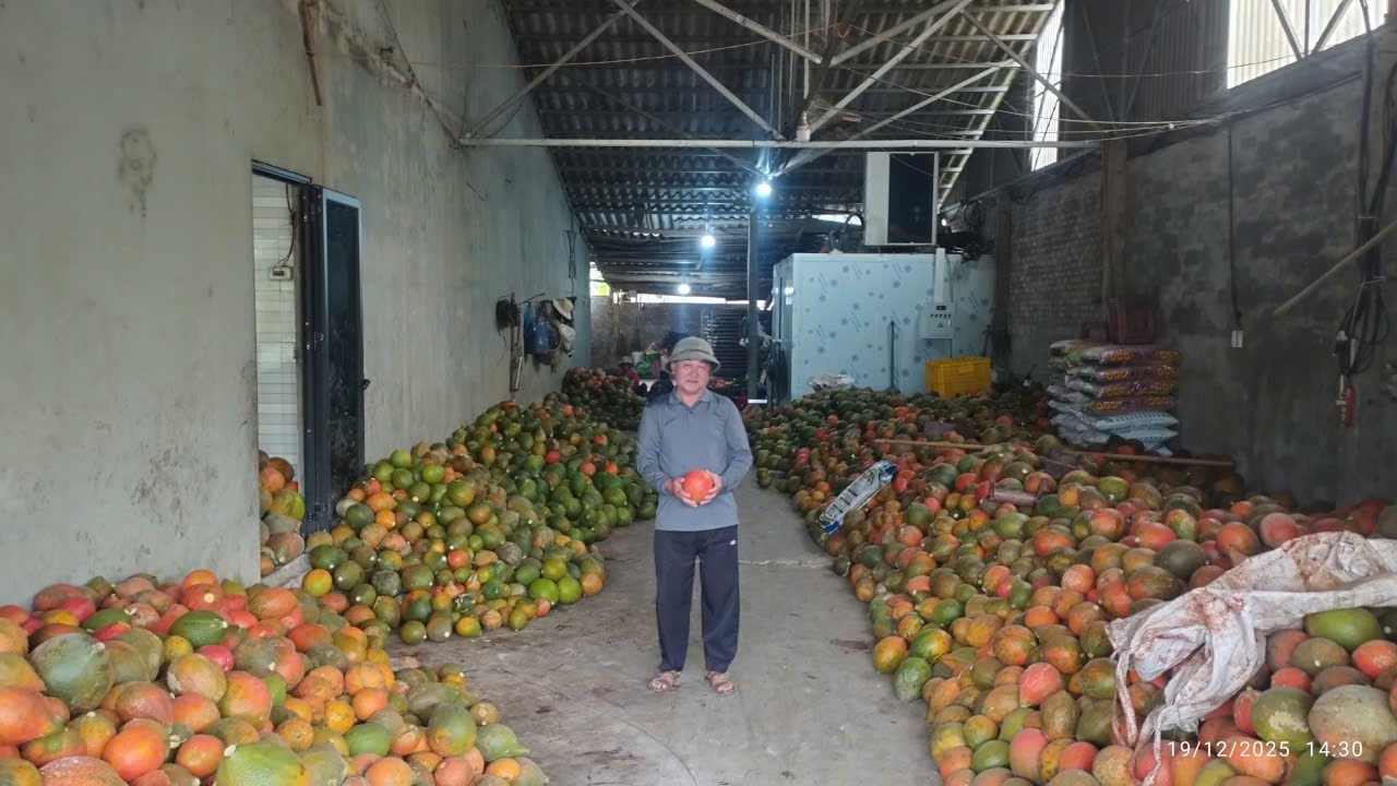 Ông Ma Văn Hiệu đến các hộ gia đình làm kinh doanh, thu mua và bảo quản nông sản tại thôn để động viên bà con tiếp tục phát triển kinh tế. (Ảnh: Vân Khánh)