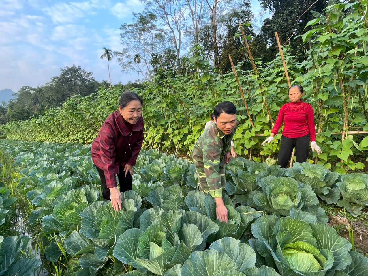 Bà Ma Thị Viên (bên trái) đang hướng dẫn bà con cách chăm sóc cây trồng. (Ảnh: Quân Khánh)