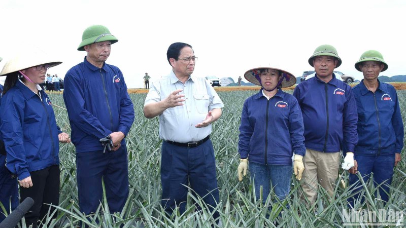 Thủ tướng Phạm Minh Chính thăm, nói chuyện với công nhân Công ty cổ phần Thực phẩm xuất khẩu Đồng Giao tại cánh đồng dứa nguyên liệu